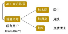 用戶賬號分類及各角色權(quán)益