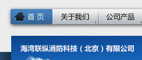 海灣聯(lián)縱消防科技（北京）有限公司 網(wǎng)站建設(shè) 網(wǎng)站設(shè)計(jì)